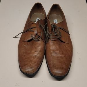 steve madden biltmore oxford